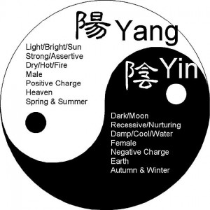 yin in yang energiji tkm